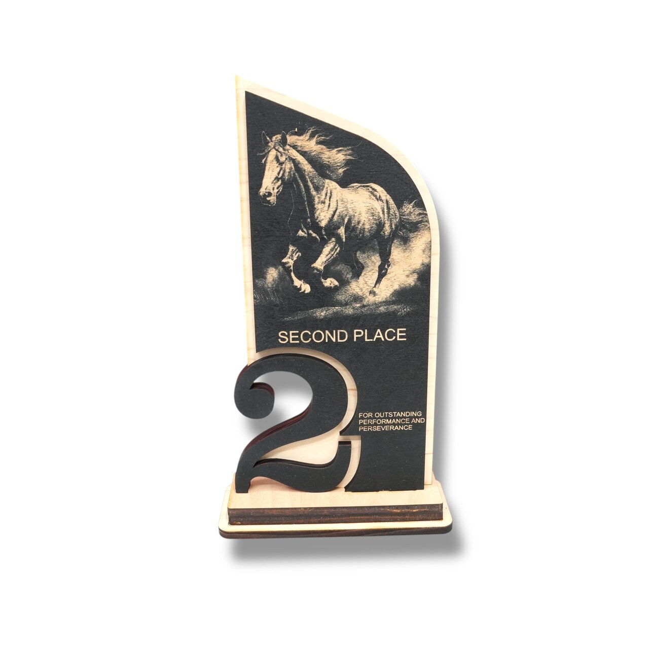 Award - Trophy - CUSTOM - Horse - 1st 2nd 3rd Place - 9x5 Inches
